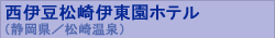 ���ɓ�����ɓ����z�e��