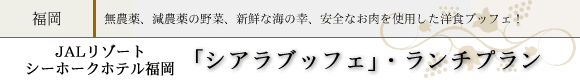 JAL���]�[�g�V�[�z�[�N����