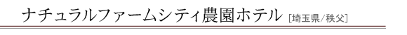 �i�`�������t�@�[���V�e�B�_���z�e��