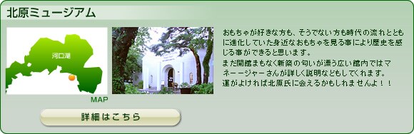 �k���~���[�W�A��