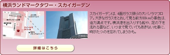 ���R�n�}�����h�}�[�N�^���[�E�X�J�C�K�[�f��