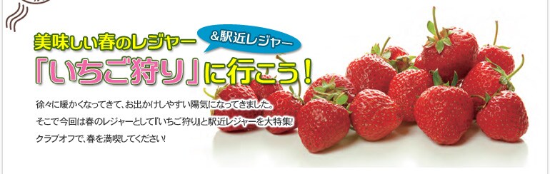 美味しい春のレジャー「いちご狩り」に行こう!