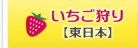 いちご狩り【東日本】