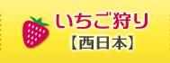 いちご狩り【西日本】