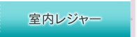 室内レジャー