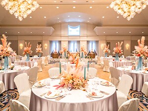 ���z���炨��l�l������1,000�~�� ��