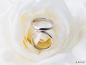 �W���G���[�@�Z�L�l