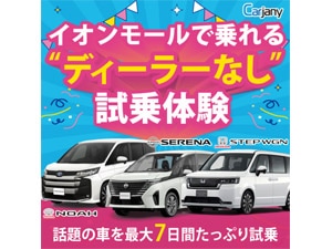 �b�������������i�J�[�W���[�j�[�j