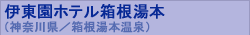 �ɓ����z�e���������{