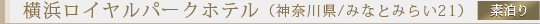�z�e���O�����p�V�t�B�b�NLE DAIBA