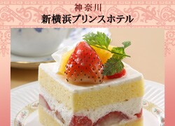 �V���l�v�����X�z�e��