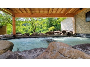 �y���z�c�`�x�z���u�}�b�N�X���]�[�g����