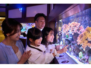 【電子チケット】横浜開運水族館