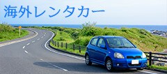 �C�O�����^�J�[