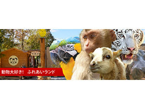 Ƃ蓮