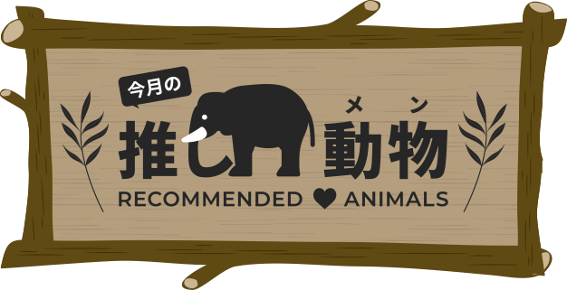 今月の推し動物(メン)