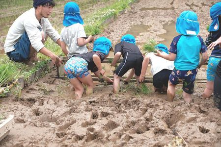 �u���E��Y�v�Ό���R�̒��ɂ���ۈ牀�ɐe�q�ŒZ�����w�I<br>�m��X������ۈ牀�n�̃C���[�W