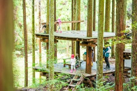 �厩�R�ɕ�܂ꂽ�L���Ȋ��̕ۈ牀�ɐe�q�ŒZ�����w�I<br>�m���R�q�ǂ��� �킽�ڂ����n�̃C���[�W