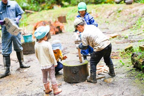 �厩�R�ɕ�܂ꂽ�L���Ȋ��̕ۈ牀�ɐe�q�ŒZ�����w�I<br>�m���R�q�ǂ��� �킽�ڂ����n�̃C���[�W