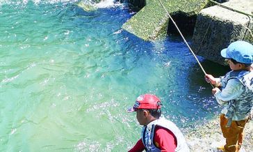 �厩�R�ɕ�܂ꂽ�L���Ȋ��̕ۈ牀�ɐe�q�ŒZ�����w�I<br>�m���R�q�ǂ��� �킽�ڂ����n�̃C���[�W