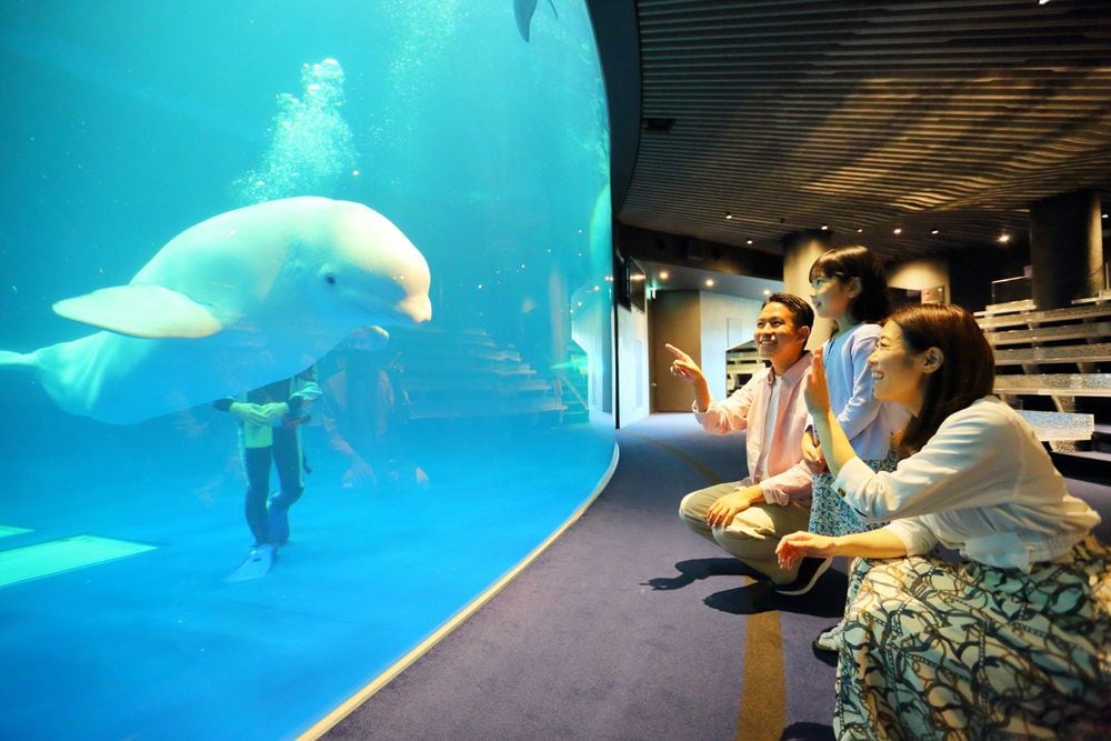 �L�����򂩂�ԂłP�O���I<br>�m���܂ˊC�m�كA�N�A�X�n�̃C���[�W