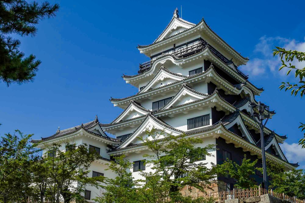 ���R�锎���ق̃C���[�W