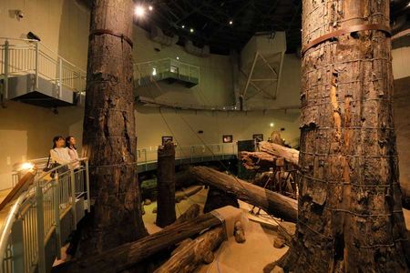 ����דꕶ�̐X�~���[�W�A���̃C���[�W