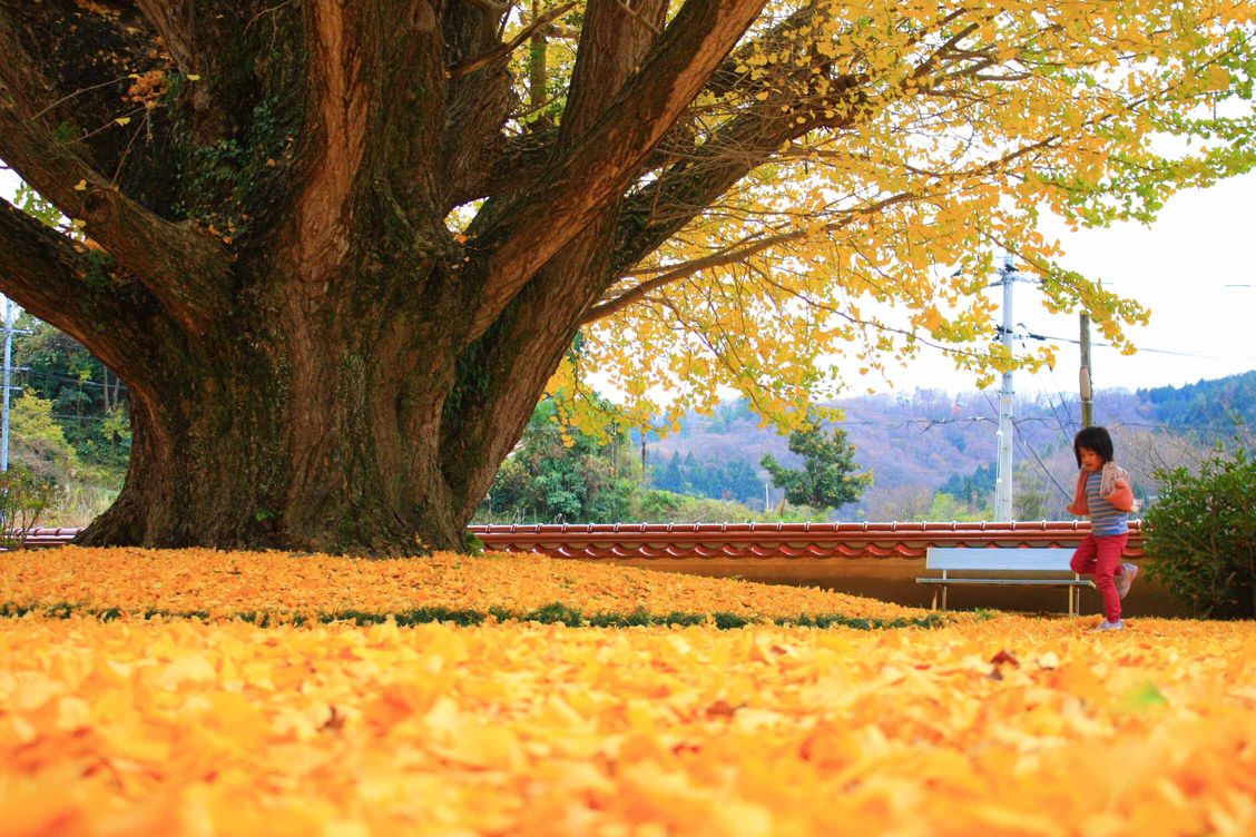 ��P���̑�C�`���E�̃C���[�W