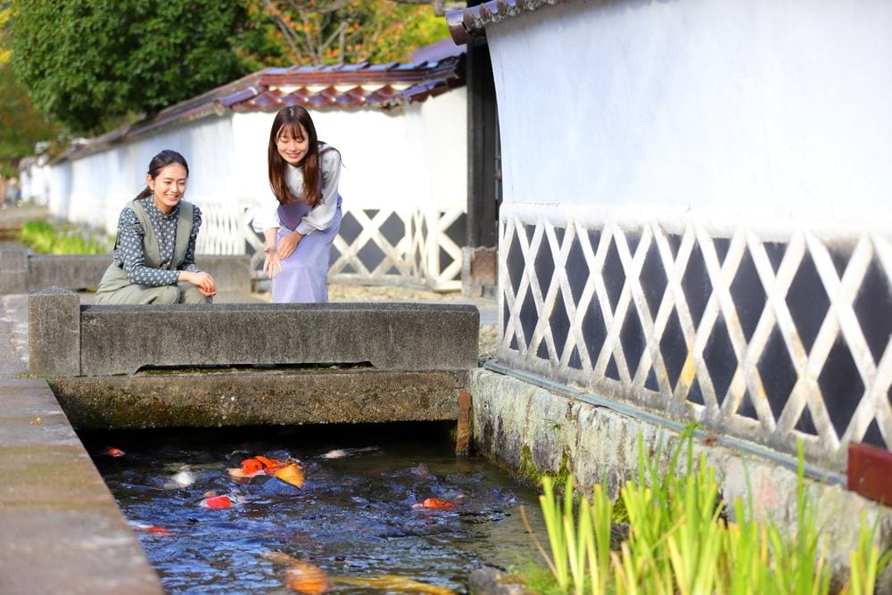 �y�������z<br>�Øa�쒬���݁E��ꉒJ��_�Ђ̃C���[�W