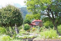 �y�������z<br>���؂̐X�����̃C���[�W