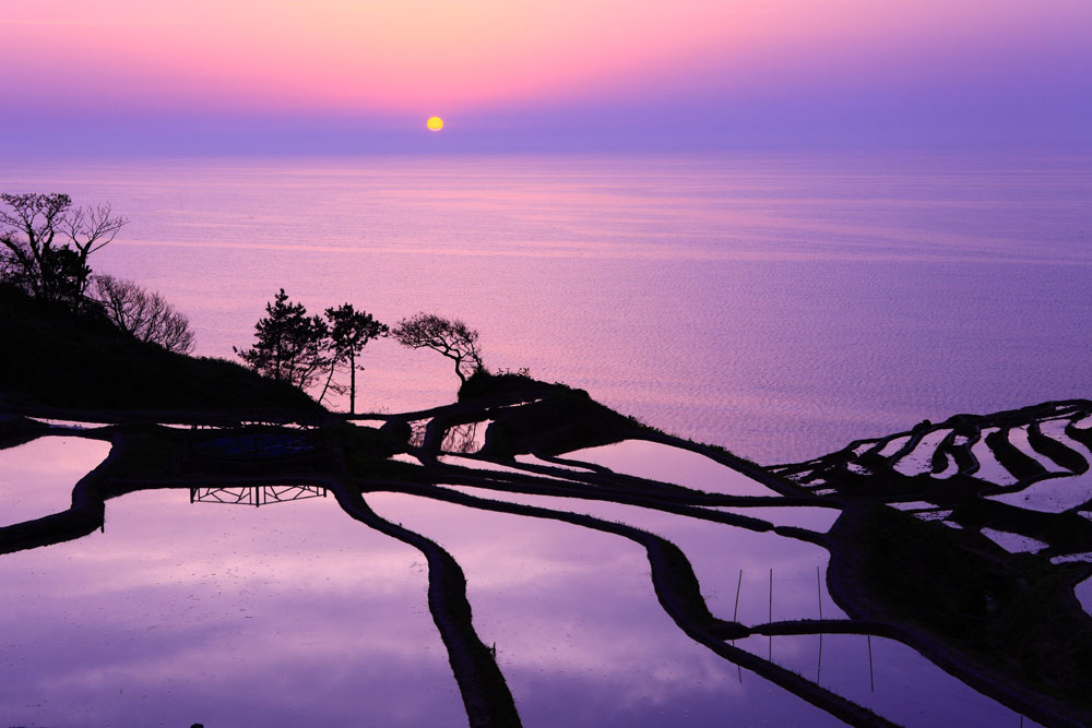 ���R�C�R�̕��i