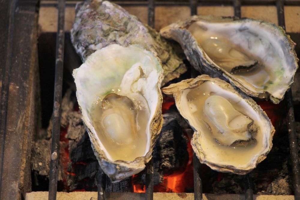 �J�L�̃C���[�W