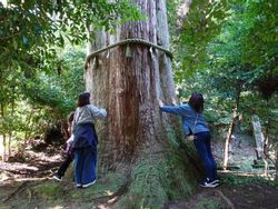 ��ےn��_�����i���c��<br>�y�����s�z�̃C���[�W