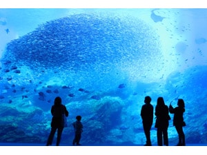 �y�ݐ؃C�x���g�z��䂤�݂̓m�����ف@�����ݐ�