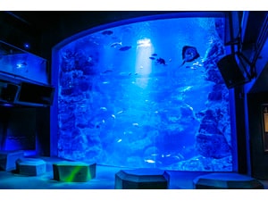 �y�ݐ؃C�x���g�z���s�����كA�[���[�G���g���[