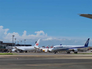 �y�ݐ؃c�A�[�z���c��`����J�G���A���w�c�A�[