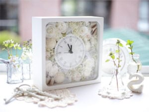 �T�����E�h�E�t���[���@���ق�