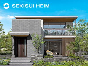 �Z�L�X�C�n�C��