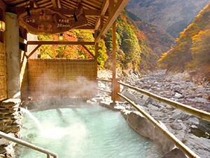 �a�̏h�@�z�e���c�J����