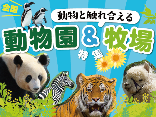 レジャー 日帰り湯 Ucカード Club Off クラブオフ 会員特典 優待サービス