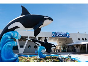 �y�d�q�^�R�����p����z����V�[���[���h