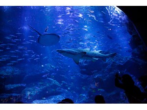 �y�ݐ؃C�x���g�z���݂������كA�[���[�G���g���[