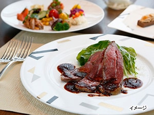 ���}���I�b�g�s�z�e���@�y�j�������`��