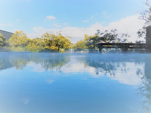 �y�d�q�`�P�b�g�z�W�F�[���X�R�V�R����@���̓��M